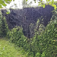 20230603_162533.jpg